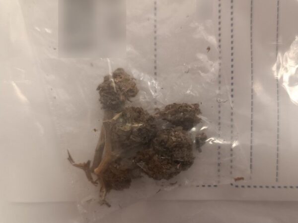 14-latek z Milicza miał przy sobie kilka porcji marihuany