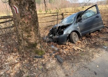 Volkswagen uderzył w drzewo. 21-latek trafił do szpitala