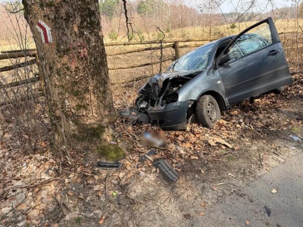 Volkswagen uderzył w drzewo. 21-latek trafił do szpitala