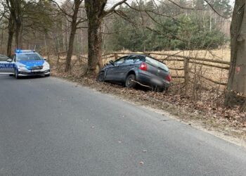 Volkswagen uderzył w drzewo. 21-latek trafił do szpitala