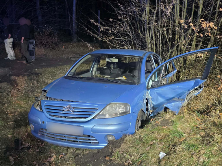Zderzenie dwóch aut na drodze Krotoszyn–Sulmierzyce. Wśród uczestników były dzieci