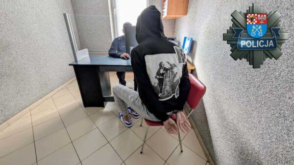 Seria zatrzymań w powiecie krotoszyńskim. Policja namierzała poszukiwane osoby