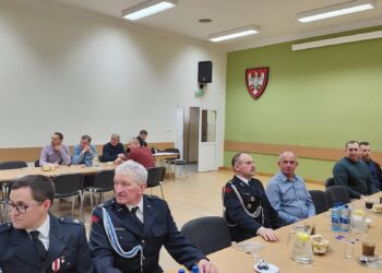 Nowe władze OSP w Lutogniewie