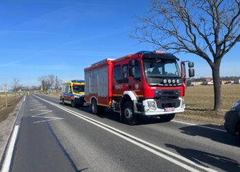 Zderzenie dwóch aut na DK15 w Czarnym Sadzie