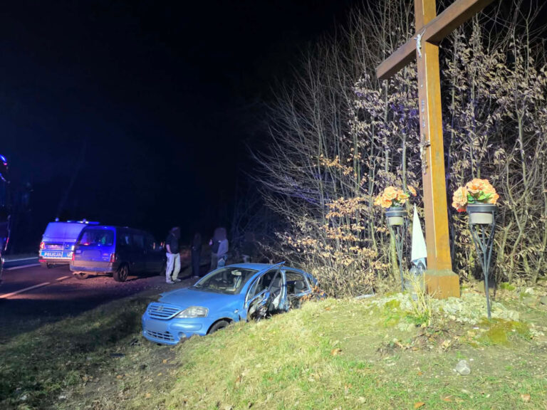 Zderzenie dwóch aut na drodze Krotoszyn–Sulmierzyce. Wśród uczestników były dzieci