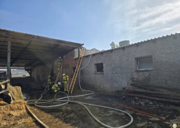 Pożar budynku inwentarskiego w Rudzie. Właściciel poparzony podczas gaszenia ognia