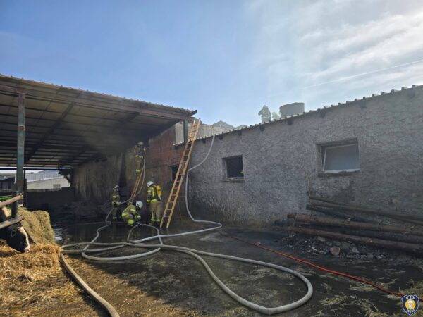 Pożar budynku inwentarskiego w Rudzie. Właściciel poparzony podczas gaszenia ognia