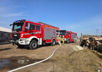 Pożar budynku inwentarskiego w Rudzie. Właściciel poparzony podczas gaszenia ognia