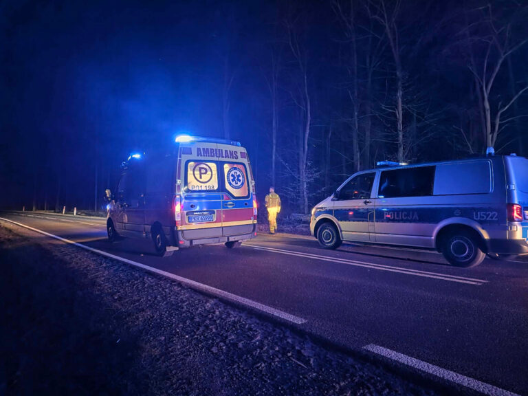 Zderzenie dwóch aut na drodze Krotoszyn–Sulmierzyce. Wśród uczestników były dzieci