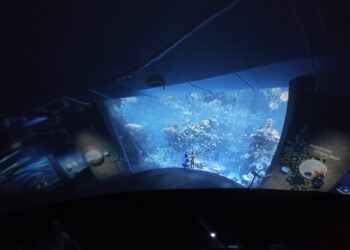 Podwodna lekcja na święcie szkoły w Pakosławsku