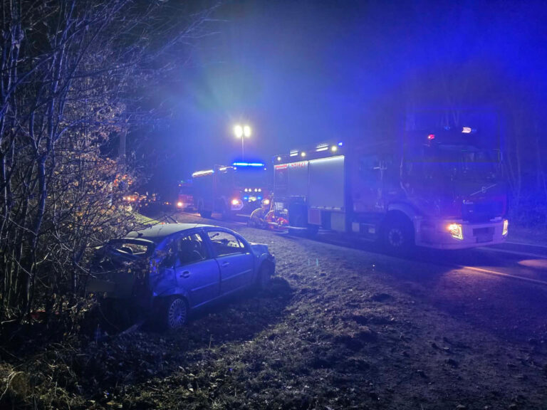 Zderzenie dwóch aut na drodze Krotoszyn–Sulmierzyce. Wśród uczestników były dzieci