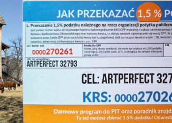 Chcą przywrócić dawną scenę przy wiatraku w Duchowie