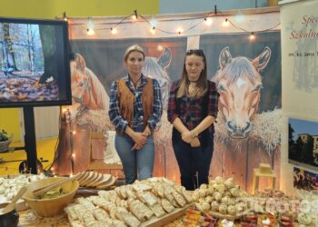 VII Powiatowe Targi Edukacyjne i Targi Pracy