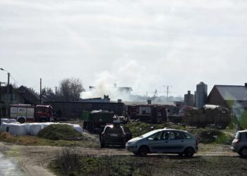 Pożar budynku inwentarskiego w Rudzie. Właściciel poparzony podczas gaszenia ognia