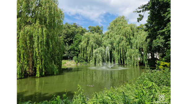 Zielony impuls dla parku. Gmina oczyści stawy w Parku Miejskim im. Wojska Polskiego