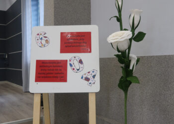 „Rusz Główką” w gminie Krotoszyn. Ponad setka uczniów zmierzyła się z matematyką