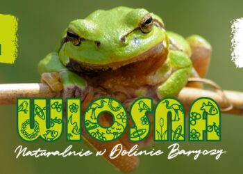 Ponad 130 powodów, by ruszyć w Dolinę Baryczy