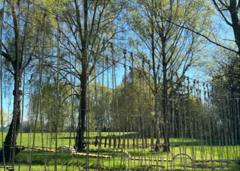 Nowa atrakcja na basenie w Koźminie. Powstał park linowy dla każdego