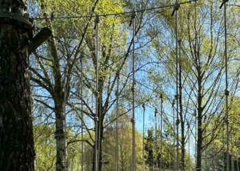 Nowa atrakcja na basenie w Koźminie. Powstał park linowy dla każdego