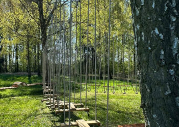 Nowa atrakcja na basenie w Koźminie. Powstał park linowy dla każdego