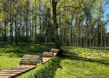 Nowa atrakcja na basenie w Koźminie. Powstał park linowy dla każdego