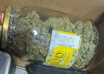 Zapach zdradził wszystko. Narkotyki odkryte w altanie na działkach