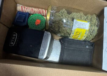 Zapach zdradził wszystko. Narkotyki odkryte w altanie na działkach