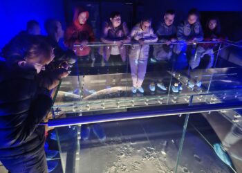 Z Milicza prosto w kosmos. Niezwykły wyjazd do Białkowa