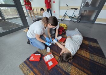Milickie szkoły na podium dolnośląskiego finału BRD