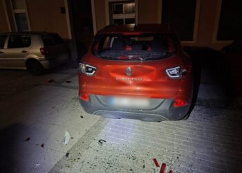 Toporkiem zniszczył auto i groził właścicielce. 41-latek trafił do aresztu