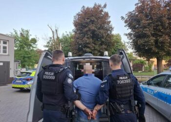 Toporkiem zniszczył auto i groził właścicielce. 41-latek trafił do aresztu