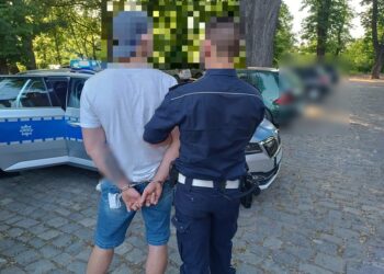 Ukradł telefon i chciał wyjechać z Milicza. Policjanci zatrzymali go na dworcu