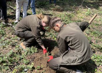 Leśna wyprawa z Milicza do Serbii. Uczniowie wrócili z nowymi doświadczeniami