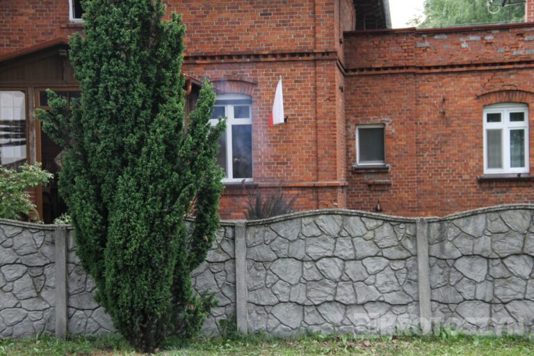 Huk wystrzałów i żywa historia w Benicach. „Wehikuł Czasu” znów przyciągnął tłumy