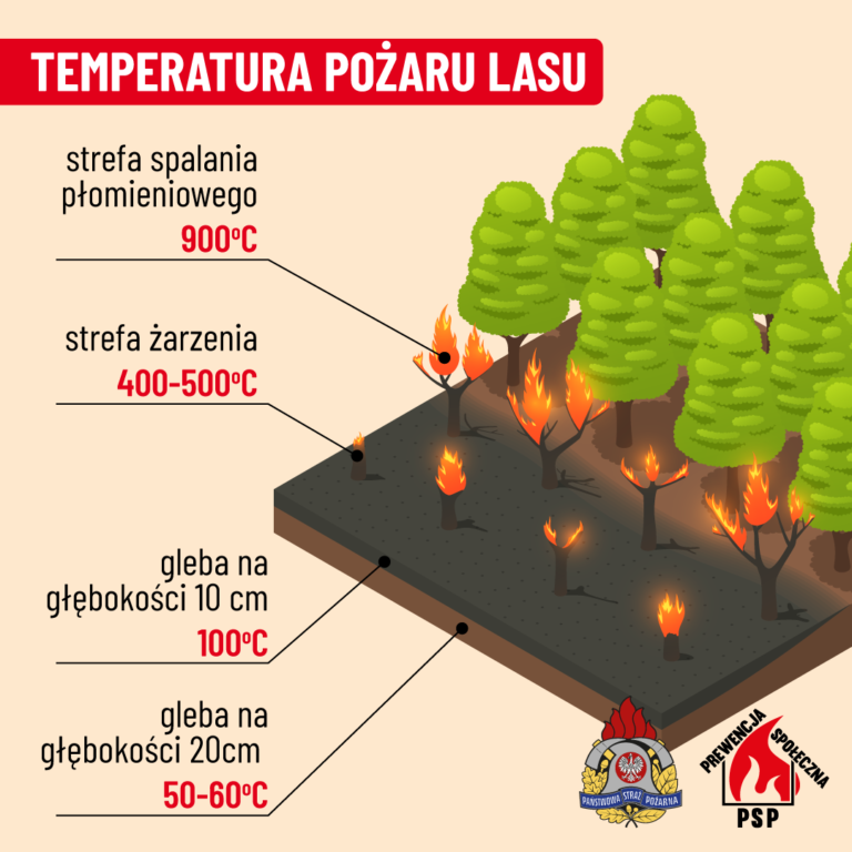 Nocny pożar lasu w Zdunach. Spłonęły hektary ściółki. Akcja trwała ponad 5 godzin