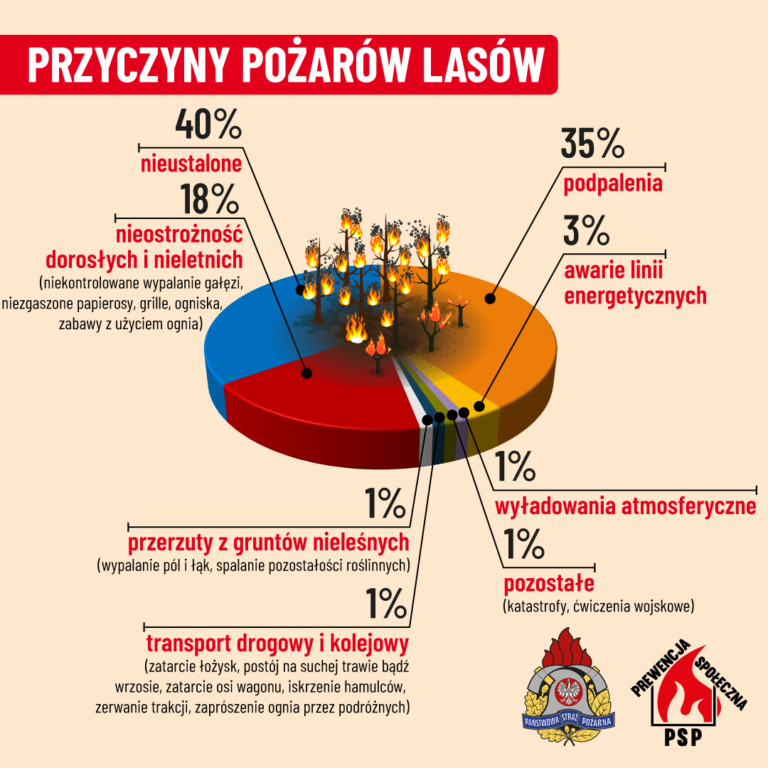 Nocny pożar lasu w Zdunach. Spłonęły hektary ściółki. Akcja trwała ponad 5 godzin
