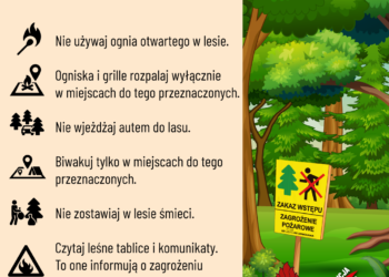 Nocny pożar lasu w Zdunach. Spłonęły hektary ściółki. Akcja trwała ponad 5 godzin