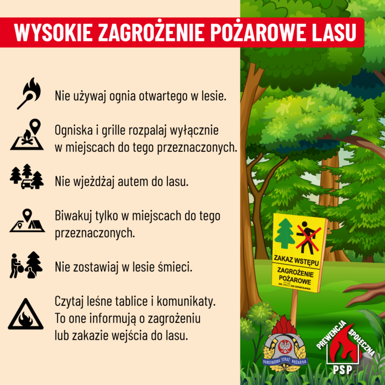 Nocny pożar lasu w Zdunach. Spłonęły hektary ściółki. Akcja trwała ponad 5 godzin