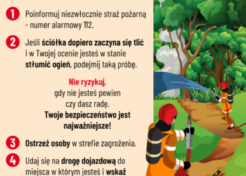 Nocny pożar lasu w Zdunach. Spłonęły hektary ściółki. Akcja trwała ponad 5 godzin