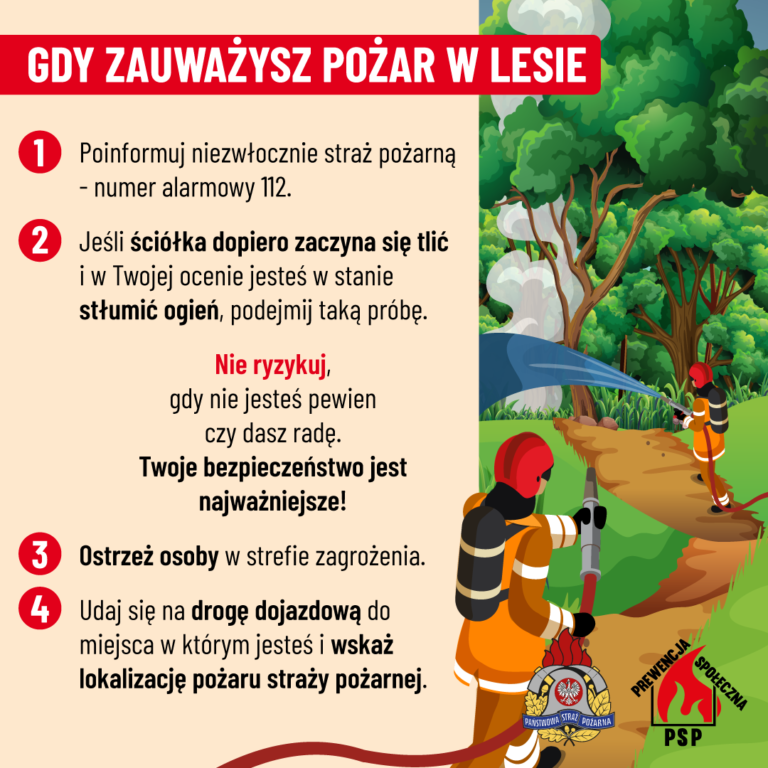 Nocny pożar lasu w Zdunach. Spłonęły hektary ściółki. Akcja trwała ponad 5 godzin