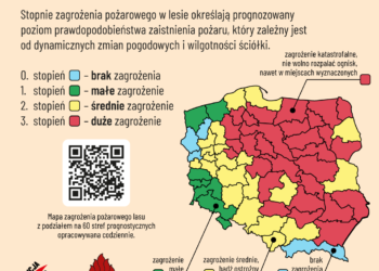 Nocny pożar lasu w Zdunach. Spłonęły hektary ściółki. Akcja trwała ponad 5 godzin