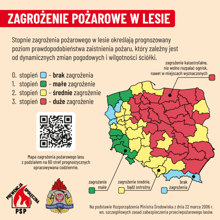 Nocny pożar lasu w Zdunach. Spłonęły hektary ściółki. Akcja trwała ponad 5 godzin