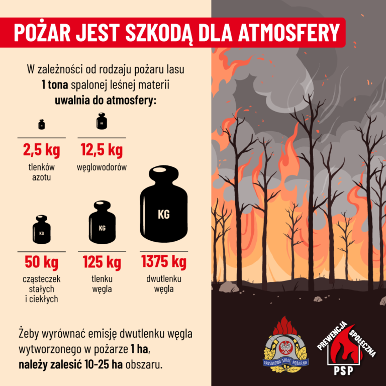 Nocny pożar lasu w Zdunach. Spłonęły hektary ściółki. Akcja trwała ponad 5 godzin