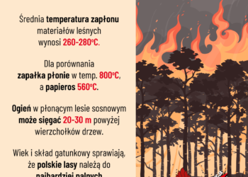 Nocny pożar lasu w Zdunach. Spłonęły hektary ściółki. Akcja trwała ponad 5 godzin