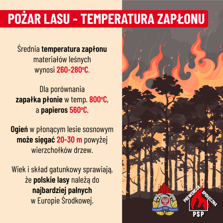 Nocny pożar lasu w Zdunach. Spłonęły hektary ściółki. Akcja trwała ponad 5 godzin