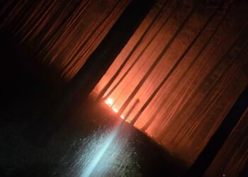 Nocny pożar lasu w Zdunach. Spłonęły hektary ściółki. Akcja trwała ponad 5 godzin