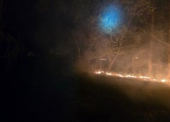 Nocny pożar lasu w Zdunach. Spłonęły hektary ściółki. Akcja trwała ponad 5 godzin