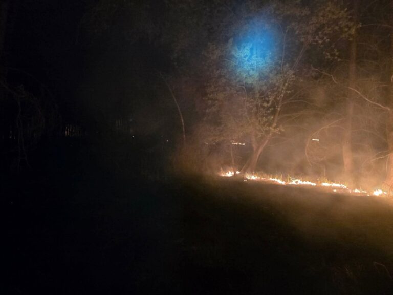 Nocny pożar lasu w Zdunach. Spłonęły hektary ściółki. Akcja trwała ponad 5 godzin