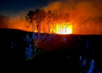 Nocny pożar lasu w Zdunach. Spłonęły hektary ściółki. Akcja trwała ponad 5 godzin