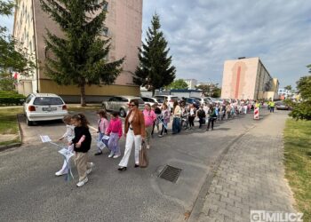 Rekordowe „Kroki do Godności” na ulicach Milicza